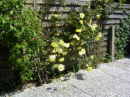 thm_Sonnengarten 006.jpg
